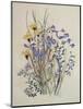 Spring Flowers, 19th Century-Caroline Louisa Meredith-Mounted Giclee Print