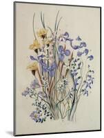 Spring Flowers, 19th Century-Caroline Louisa Meredith-Mounted Giclee Print