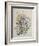 Spring Flowers, 19th Century-Caroline Louisa Meredith-Framed Giclee Print