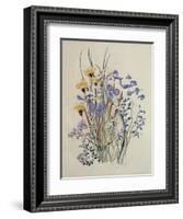 Spring Flowers, 19th Century-Caroline Louisa Meredith-Framed Giclee Print