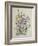 Spring Flowers, 19th Century-Caroline Louisa Meredith-Framed Giclee Print