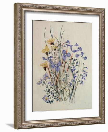 Spring Flowers, 19th Century-Caroline Louisa Meredith-Framed Giclee Print