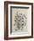 Spring Flowers, 19th Century-Caroline Louisa Meredith-Framed Giclee Print