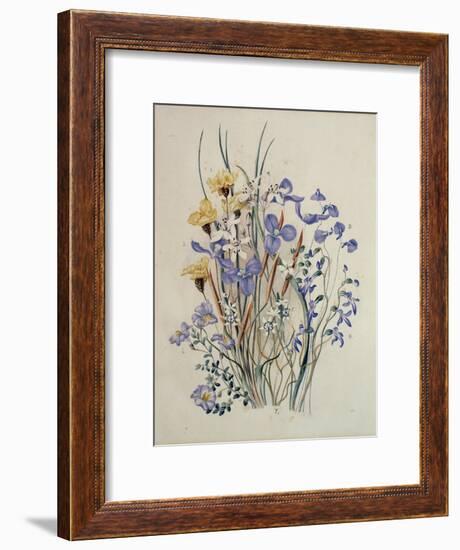 Spring Flowers, 19th Century-Caroline Louisa Meredith-Framed Giclee Print