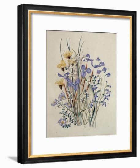 Spring Flowers, 19th Century-Caroline Louisa Meredith-Framed Giclee Print