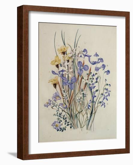 Spring Flowers, 19th Century-Caroline Louisa Meredith-Framed Giclee Print