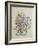 Spring Flowers, 19th Century-Caroline Louisa Meredith-Framed Giclee Print