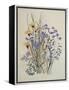 Spring Flowers, 19th Century-Caroline Louisa Meredith-Framed Premier Image Canvas