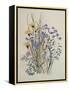 Spring Flowers, 19th Century-Caroline Louisa Meredith-Framed Premier Image Canvas