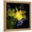 Spring Flowers 1-Magda Indigo-Framed Stretched Canvas