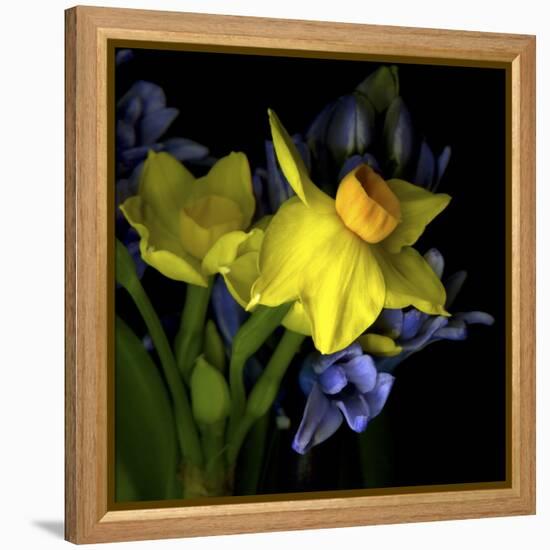 Spring Flowers 1-Magda Indigo-Framed Stretched Canvas