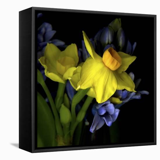 Spring Flowers 1-Magda Indigo-Framed Stretched Canvas