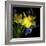 Spring Flowers 1-Magda Indigo-Framed Photographic Print