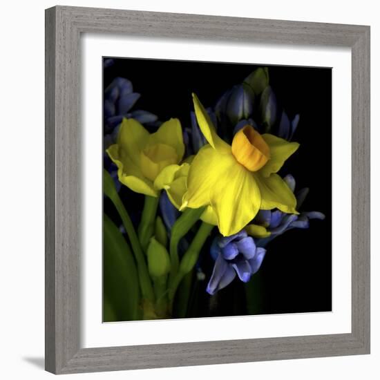 Spring Flowers 1-Magda Indigo-Framed Photographic Print