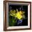 Spring Flowers 1-Magda Indigo-Framed Photographic Print