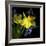 Spring Flowers 1-Magda Indigo-Framed Photographic Print