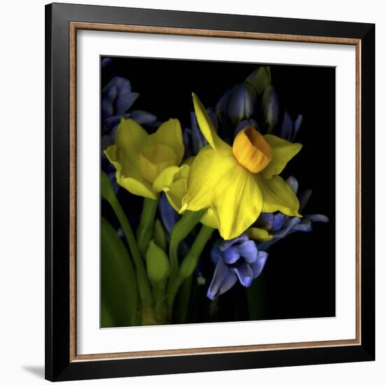 Spring Flowers 1-Magda Indigo-Framed Photographic Print