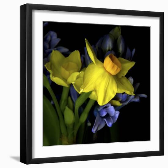 Spring Flowers 1-Magda Indigo-Framed Photographic Print
