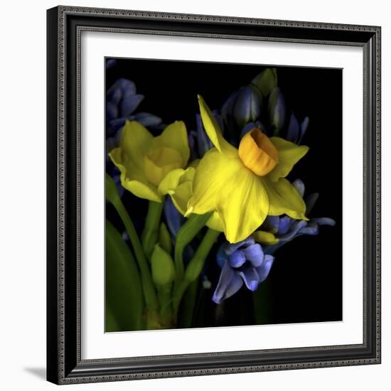 Spring Flowers 1-Magda Indigo-Framed Photographic Print