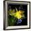 Spring Flowers 1-Magda Indigo-Framed Photographic Print