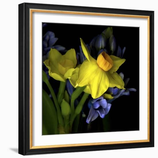 Spring Flowers 1-Magda Indigo-Framed Photographic Print