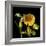 Spring Flowers 2-Magda Indigo-Framed Photographic Print