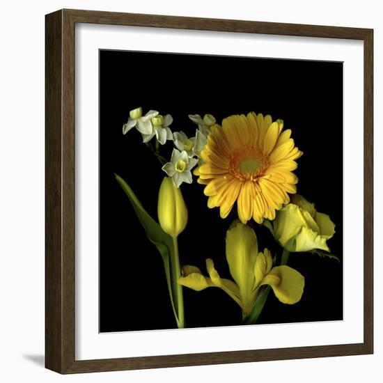 Spring Flowers 2-Magda Indigo-Framed Photographic Print