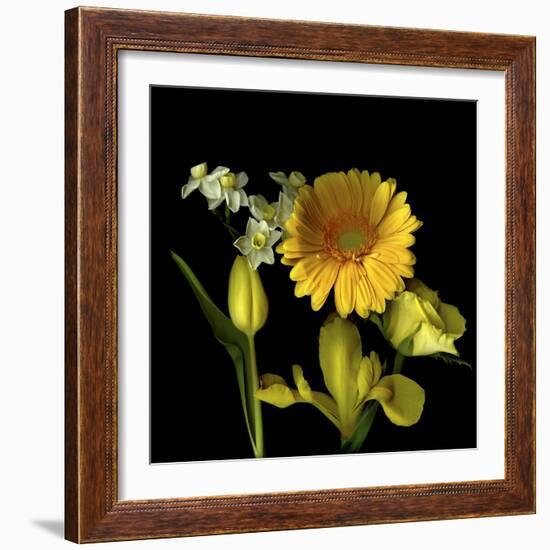 Spring Flowers 2-Magda Indigo-Framed Photographic Print