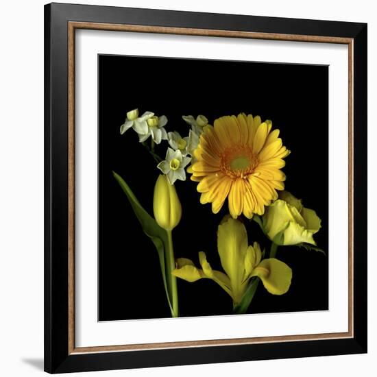 Spring Flowers 2-Magda Indigo-Framed Photographic Print