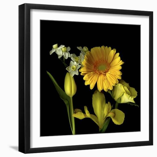 Spring Flowers 2-Magda Indigo-Framed Photographic Print