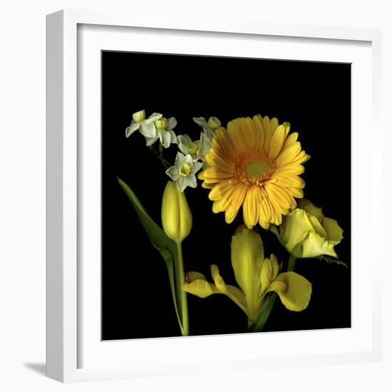 Spring Flowers 2-Magda Indigo-Framed Photographic Print