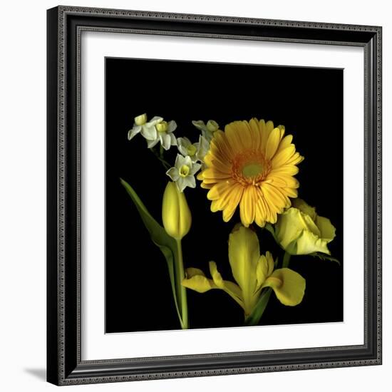 Spring Flowers 2-Magda Indigo-Framed Photographic Print