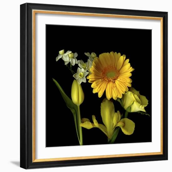 Spring Flowers 2-Magda Indigo-Framed Photographic Print