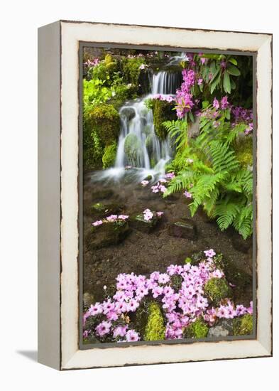 Spring Flowers Add Beauty to Waterfall at Crystal Springs Garden, Portland Oregon. Pacific Northwes-Craig Tuttle-Framed Premier Image Canvas