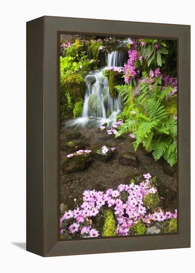 Spring Flowers Add Beauty to Waterfall at Crystal Springs Garden, Portland Oregon. Pacific Northwes-Craig Tuttle-Framed Premier Image Canvas