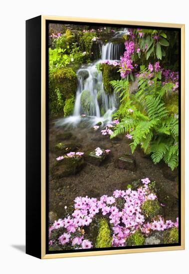 Spring Flowers Add Beauty to Waterfall at Crystal Springs Garden, Portland Oregon. Pacific Northwes-Craig Tuttle-Framed Premier Image Canvas