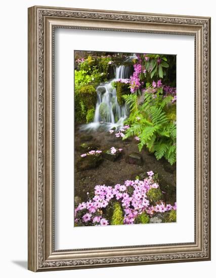 Spring Flowers Add Beauty to Waterfall at Crystal Springs Garden, Portland Oregon. Pacific Northwes-Craig Tuttle-Framed Photographic Print