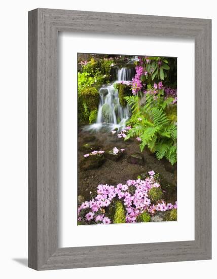 Spring Flowers Add Beauty to Waterfall at Crystal Springs Garden, Portland Oregon. Pacific Northwes-Craig Tuttle-Framed Photographic Print