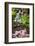 Spring Flowers Add Beauty to Waterfall at Crystal Springs Garden, Portland Oregon. Pacific Northwes-Craig Tuttle-Framed Photographic Print