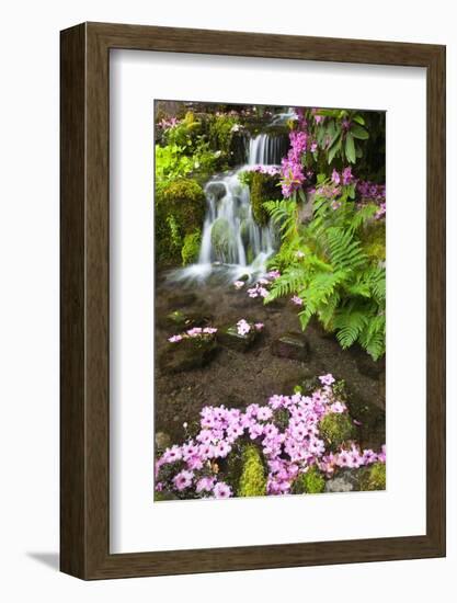 Spring Flowers Add Beauty to Waterfall at Crystal Springs Garden, Portland Oregon. Pacific Northwes-Craig Tuttle-Framed Photographic Print