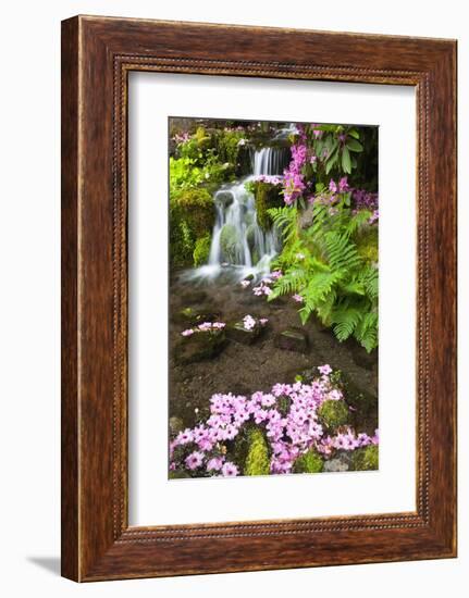 Spring Flowers Add Beauty to Waterfall at Crystal Springs Garden, Portland Oregon. Pacific Northwes-Craig Tuttle-Framed Photographic Print