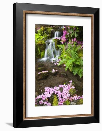 Spring Flowers Add Beauty to Waterfall at Crystal Springs Garden, Portland Oregon. Pacific Northwes-Craig Tuttle-Framed Photographic Print