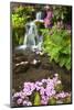 Spring Flowers Add Beauty to Waterfall at Crystal Springs Garden, Portland Oregon. Pacific Northwes-Craig Tuttle-Mounted Photographic Print