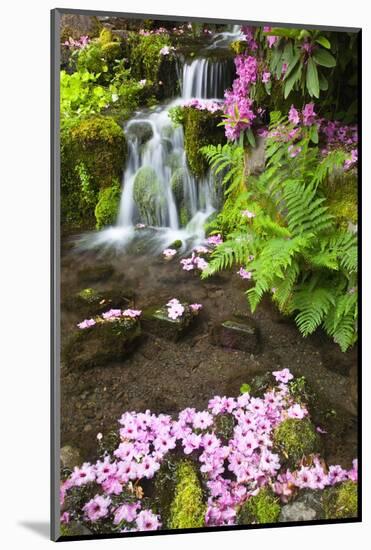 Spring Flowers Add Beauty to Waterfall at Crystal Springs Garden, Portland Oregon. Pacific Northwes-Craig Tuttle-Mounted Photographic Print