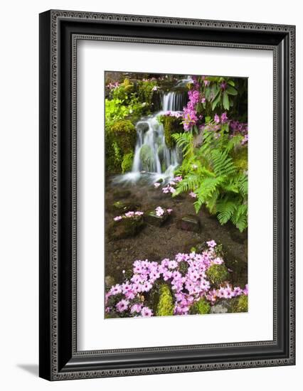 Spring Flowers Add Beauty to Waterfall at Crystal Springs Garden, Portland Oregon. Pacific Northwes-Craig Tuttle-Framed Photographic Print