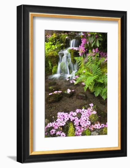 Spring Flowers Add Beauty to Waterfall at Crystal Springs Garden, Portland Oregon. Pacific Northwes-Craig Tuttle-Framed Photographic Print