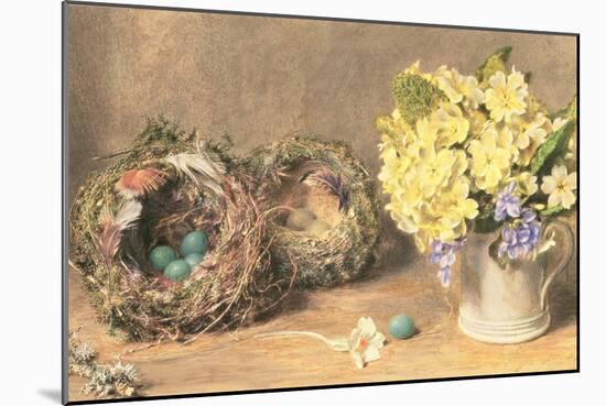 Spring Flowers and Birds' Nests, C.1830-William Henry Hunt-Mounted Giclee Print