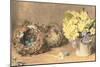 Spring Flowers and Birds' Nests, C.1830-William Henry Hunt-Mounted Giclee Print