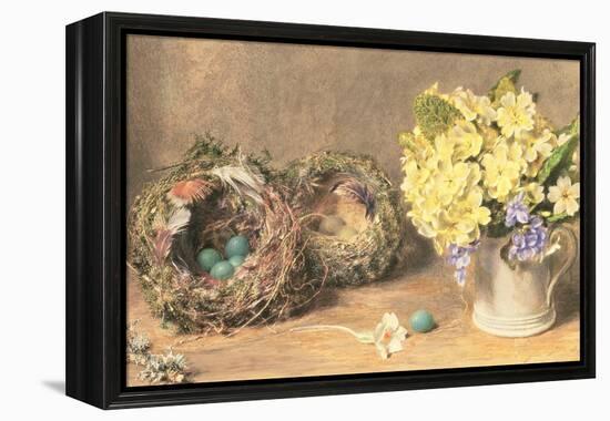 Spring Flowers and Birds' Nests, C.1830-William Henry Hunt-Framed Premier Image Canvas