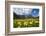 Spring Flowers and Green Meadows, Bregaglia Valley, Engadine-Roberto Moiola-Framed Photographic Print